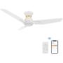Smart Ceiling Fan with Light, Indoor/Outdoor Ceiling Fan, Compatible with DC Motor,10-speed,8 Hours Timer, Works with Remote Control/Alexa/Google Home/Siri,Schedule (44