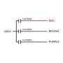 uxcell Ceiling Fan Capacitor CBB61 4/5/6uF 250V AC 4 Wires Metallized Polypropylene Film Capacitor 48x38x26mm for Electric Fan Pump Motor Generator 2Pcs