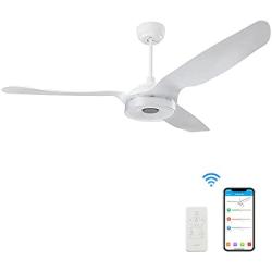 Trifecte 60 Inch Indoor&Outdoor Ceiling Fan with Light and Remote, Smart Ceiling Fan Compatible with App/Alexa/Google/Siri, Low Profile Ceiling Fan with 10-Speed Reversible Quiet DC Motor, ETL Listed