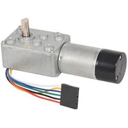 Hall Encoder DC 12V 64Rpm Worm Gear Motor Quiet High Torque Turbine Reducer