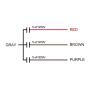 uxcell Ceiling Fan Capacitor CBB61 5/5/5uF 250V AC 4 Wires Metallized Polypropylene Film Capacitor 48x38x26mm for Electric Fan Pump Motor Generator 2Pcs