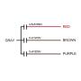 uxcell Ceiling Fan Capacitor CBB61 4.5/6/5uF 250V AC 4 Wires Metallized Polypropylene Film Capacitor 48x38x26mm for Electric Fan Pump Motor Generator