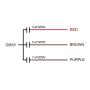 uxcell Ceiling Fan Capacitor CBB61 4/5/7uF 250V AC 4 Wires Metallized Polypropylene Film Capacitor 48x38x26mm for Electric Fan Pump Motor Generator