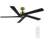 WINGBO 64 Inch DC Ceiling Fan without Lights, 5 Reversible Carved Solid Wood Blades, 6-Speed Noiseless DC Motor, Ceiling Fan No Light with Remote, Brass Finish with Black Blades, ETL Listed