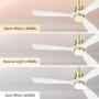 CLUGOJ White Ceiling Fan with Dimmable LED Lights 52