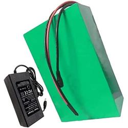 Jieoto 48V 15Ah E-Bike Lithium Battery 18650 13S 5P Battery Pack for 1000W 750W 500W 350W 250W 200W Motor for Electric Tricycles, Electric Scooters Electric Motorcycles with Charger
