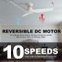 Smart Ceiling Fan with Light, Indoor/Outdoor Ceiling Fan, Compatible with DC Motor,10-speed,8 Hours Timer, Works with Remote Control/Alexa/Google Home/Siri,Schedule (44