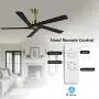 WINGBO 64 Inch DC Ceiling Fan without Lights, 5 Reversible Carved Solid Wood Blades, 6-Speed Noiseless DC Motor, Ceiling Fan No Light with Remote, Brass Finish with Black Blades, ETL Listed