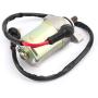 Topteng Motorcycle Starter Motor, 9-Spline Starter Replacement fits for Can-Am DS70 2010, DS70 Mini 2014-2015, DS90 2010-2013/2016-2018 V31200DGF000