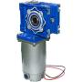 Bemonoc NMRV040 High Torque DC 12V Low Speed 22RPM Worm Gear Motor Large Power 250W with Gearbox Speed Reducer Ratio 80/1