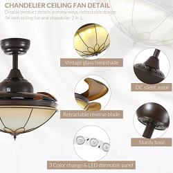 NOXARTE 36 Ceiling Fan with Light Remote Control Vintage Dimmable Retractable Fan Chandelier Lighting Fixture for Living Dining Room