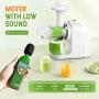 Slow Masticating Juicer Machine, Cold Press Juicer Extractor 95% Juice Yield, Celery Juicer Machines with Ceramic Auger, Quiet Motor, Reverse Function, 100% Original Vegetable and Fruit Juice, Sorbet