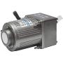 Bemonoc 25Watts AC 110V 50/60HZ Gear Reducer Motor High Speed 280 RPM & AC Speed Controller Kits Variable CW CCW for dyeing industrial