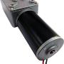 TSINY High Torque 12 Volt 80 RPM DC Worm Gear Motor for BBQ Drive Replacement
