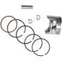 Cancanle 39mm Piston Pin Rings Kit for Honda GX35 GX35NT HHT35S UMK35 Gasoline 4-Stroke Engine Motor Brush Cutter Trimmer String Trimmer