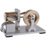 Teerwere Stirling Engine Motor Metal Single Cylinder Flame Licker Engine Vacuum Stirling Engine Model Toy with Double Bearing Support (Color : Gold, Size : One Size) Teerwere Stirling Engine Motor Metal Single Cylinder Flame Licker Engine Vacuum Stirling Engine Model Toy with Double Bearing Support (Color : Gold, Size : One Size)