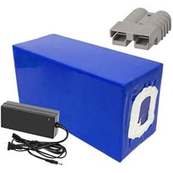 Wnicek 72V 20Ah 30Ah 40Ah 50Ah 60Ah E-Bike Lithium Battery Built-in 30A to 100A BMS Rechargeable Lithium-ion Battery Pack with 84V Charger Used for Bicycle Motors Within 5600W