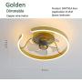Ceiling Fan with Light and Remote Control, Modern Fan Light with 3 Invisible Fan Blades, Noiseless Reversible DC Motor for Bedroom/Living Room/Study/Kitchen/Porch (Gold)