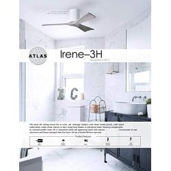 Matthews IR3H-BW-BW-42 Irene Indoor/Outdoor Damp Location 42