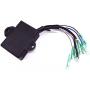 SouthMarine Boat Engine 61N-85540-13 12 11 10 T20-06030100 CDI Coil Unit Assy for Yamaha Parsun Makara HDX C 25HP 30HP E25B E30H 25B 30H 2-Stroke Outboard Motor