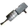 Self-hold Worm Motor Dc 12v High Torque
