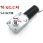 BRINGSMART 24V 5rpm DC Worm Gear Motor 70kg.cm Self-locking Reversed Mini Turbine Geared Motor for DIY Robot Rotating Table Door Lock Curtain Machine