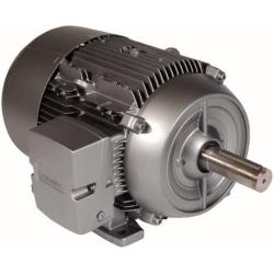 Siemens 1LE21211CB114AA3 3-HP 1800 Rpm 230/460-volt 182t General Purpose Electric Motor Nema Premium Efficient Aluminum Frame, Aluminum Rotor