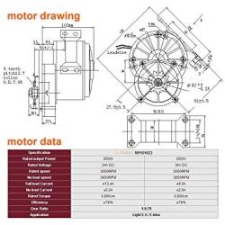L-faster Freewheel 250W Electric Bicycle Gear Motor with 16 Teeth Flywheel Gear and Electric Brush Controller with Fuse Cable