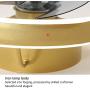 Ceiling Fan with Light and Remote Control, Modern Fan Light with 3 Invisible Fan Blades, Noiseless Reversible DC Motor for Bedroom/Living Room/Study/Kitchen/Porch (Gold)